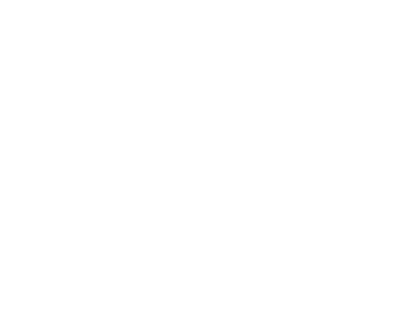 Shinbishin